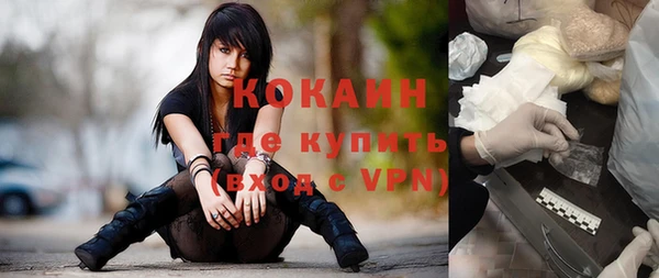 дживик Алзамай