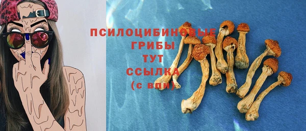 дживик Алзамай