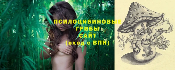 амф Алексеевка