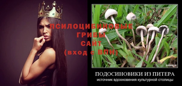дживик Алзамай